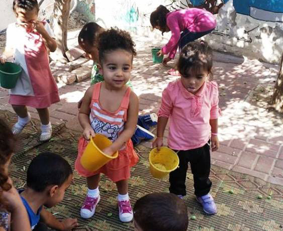  بالصور: فعاليات خاصة بموسم الزيتون في روضة الرباط بمدينة الرملة 